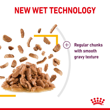 Royal Canin Sensory Taste Wet Cat Food in Gravy