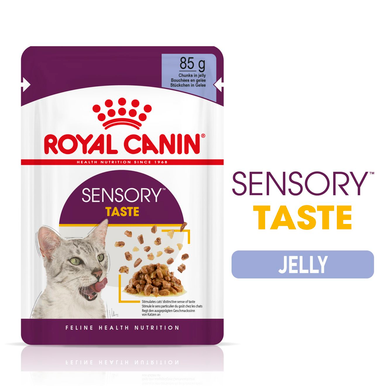 Royal Canin Sensory Taste Wet Cat Food in Jelly