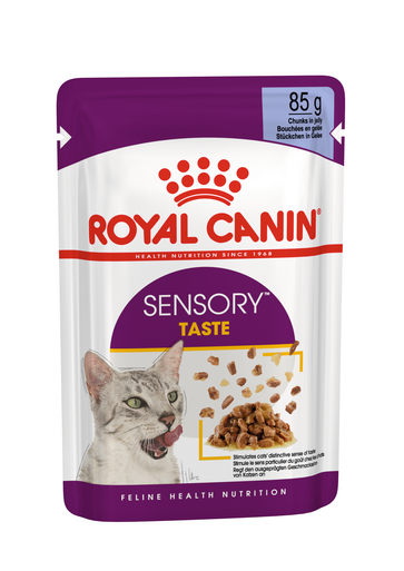 Royal Canin Sensory Taste Wet Cat Food in Jelly