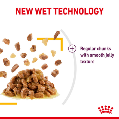 Royal Canin Sensory Taste Wet Cat Food in Jelly