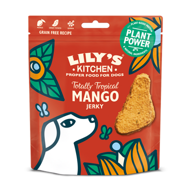 Lily's Kitchen Dog Treats - Mango Jerky