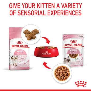 Royal Canin Kitten Wet Cat Food - Chunks in Gravy