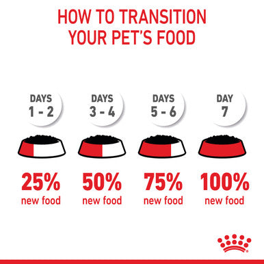 Royal Canin Kitten Wet Cat Food - Chunks in Gravy