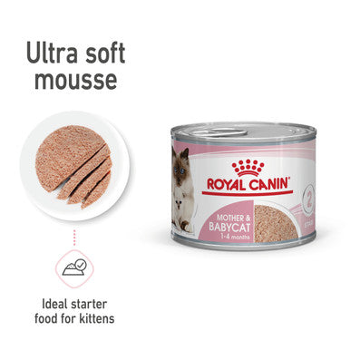 Royal Canin Mother and Babycat Wet Cat Food - Mousse