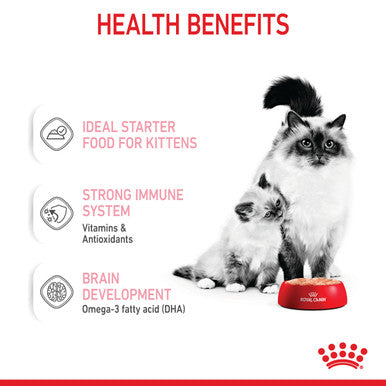 Royal Canin Mother and Babycat Wet Cat Food - Mousse