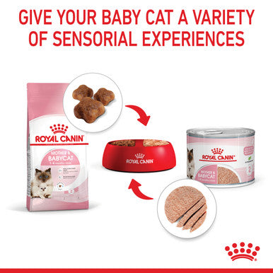 Royal Canin Mother and Babycat Wet Cat Food - Mousse