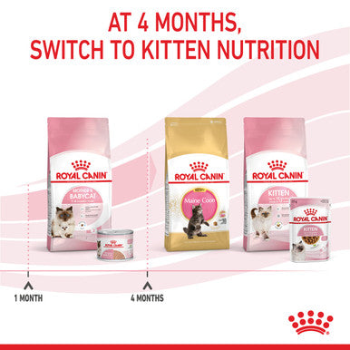 Royal Canin Mother and Babycat Wet Cat Food - Mousse