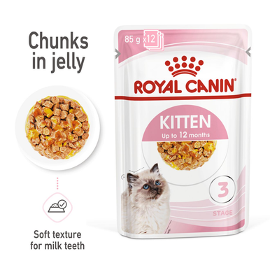 Royal Canin Kitten Wet Cat Food - Chunks in Jelly