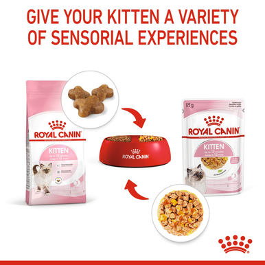 Royal Canin Kitten Wet Cat Food - Chunks in Jelly