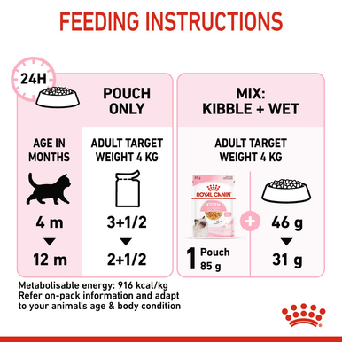 Royal Canin Kitten Wet Cat Food - Chunks in Jelly