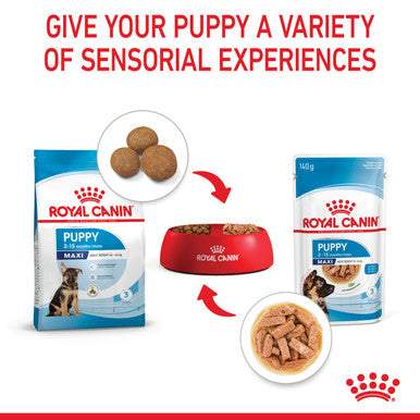 Royal Canin Maxi Puppy Wet Dog Food - Chunks in Gravy