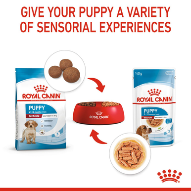 Royal Canin Medium Puppy Wet Dog Food - Chunks in Gravy