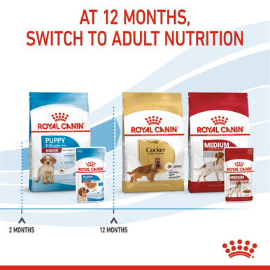 Royal Canin Medium Puppy Wet Dog Food - Chunks in Gravy