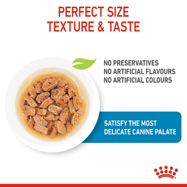 Royal Canin Mini Puppy Wet Dog Food - Chunks in Gravy