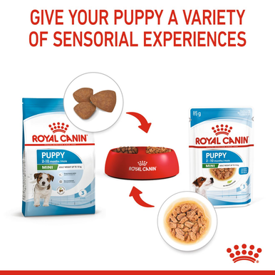 Royal Canin Mini Puppy Wet Dog Food - Chunks in Gravy