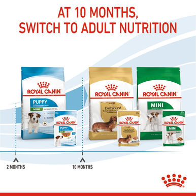 Royal Canin Mini Puppy Wet Dog Food - Chunks in Gravy