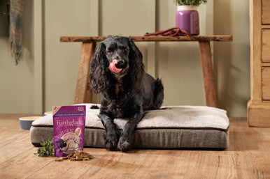 Forthglade Natural Soft Bite Grain-free Calming Dog Treats - Camomile, Lavender & Lemon Balm