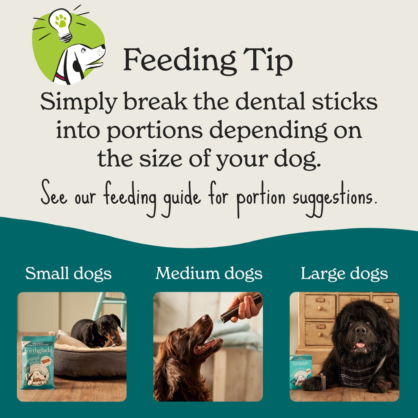 Forthglade Natural Grain-free Adult Dental Sticks Dog Treats