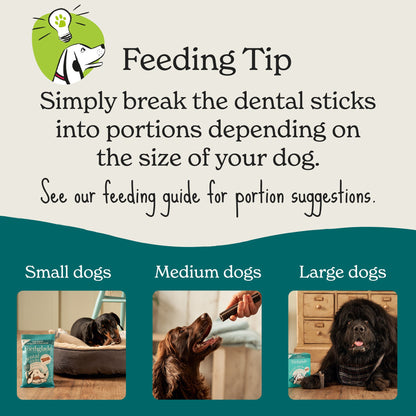 Forthglade Natural Grain-free Adult Dental Sticks Dog Treats