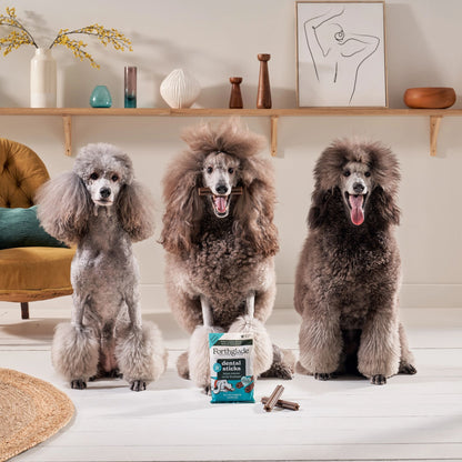 Forthglade Natural Grain-free Adult Dental Sticks Dog Treats