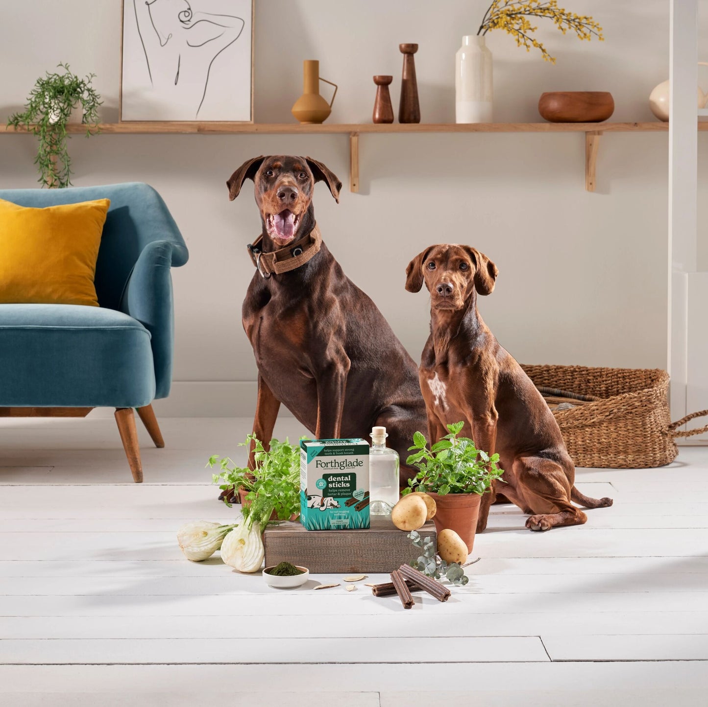 Forthglade Natural Grain-free Adult Dental Sticks Dog Treats