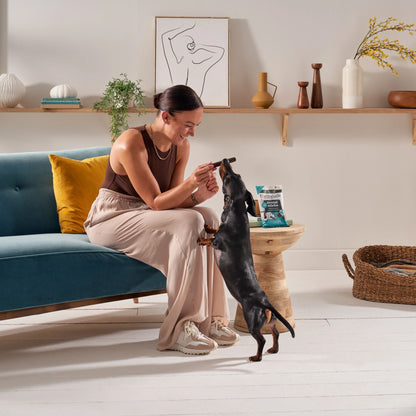 Forthglade Natural Grain-free Adult Dental Sticks Dog Treats