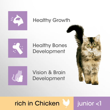 Perfect Fit Junior <1 Dry Cat Food - Chicken