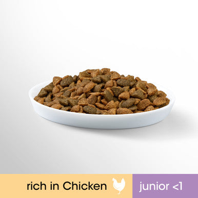 Perfect Fit Junior <1 Dry Cat Food - Chicken