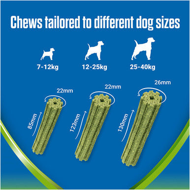 Dentalife ActivFresh Dental Chew Medium Dog Treats