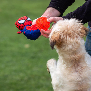 For Fan Pets 2 in 1 Spiderman Adult Dog Toy - Red