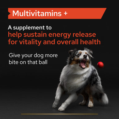 Purina Pro Plan Multivitamins Adult and Senior Supplement Dog Tablets