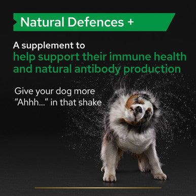 Purina Pro Plan Natural Defences Adult and Senior Supplement Dog Tablets