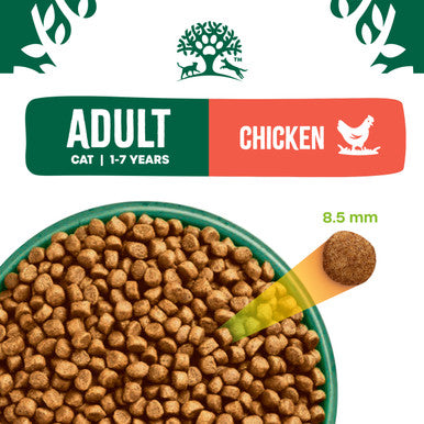 James Wellbeloved Gluten-free Adult Dry Cat Food - Chicken