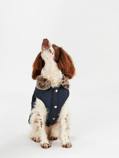 Joules Cherington Quilted Dog Coat