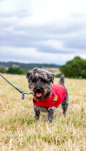 Joules Dog Raincoat - Red