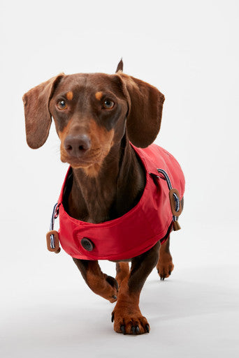 Joules Dog Raincoat - Red