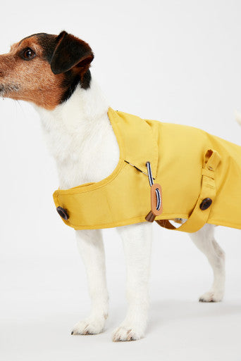 Joules Antique Dog Raincoat - Gold