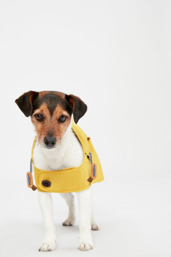 Joules Antique Dog Raincoat - Gold