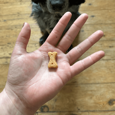 Beco Soft Baked Grain-free Dog Treats - Cashew with Pumpkin Seed & Carrot