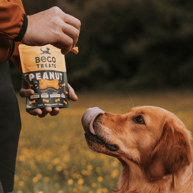 Beco Soft Baked Grain-free Dog Treats - Peanut with Coconut & Turmeric