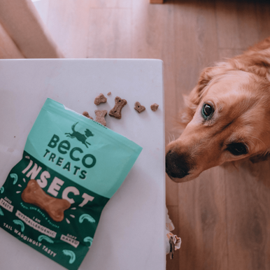 Beco Soft Baked Dog Treats - Insect with Apple & Chia Seeds