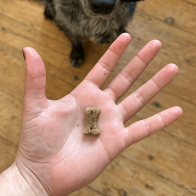 Beco Soft Baked Dog Treats - Insect with Apple & Chia Seeds