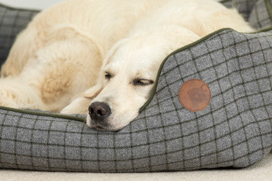 Petface Square Dog Bed - Moss Green