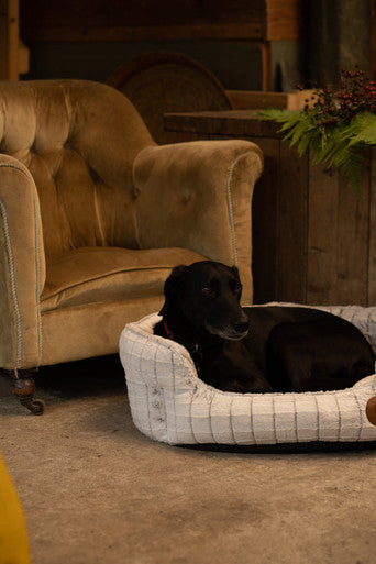 Petface White Plush Oval Medium Dog Bed