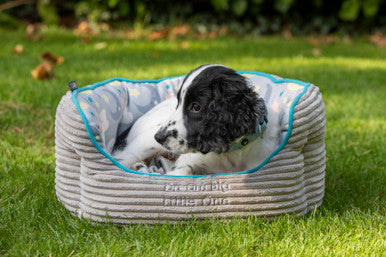 Little Petface Oval Bed for Pets