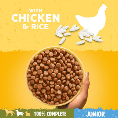 Pedigree Medium Puppy and Junior Dry Dog Food - Chicken & Rice