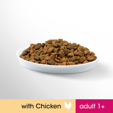 Perfect Fit Adult 1+ Complete Dry Cat Food - Chicken