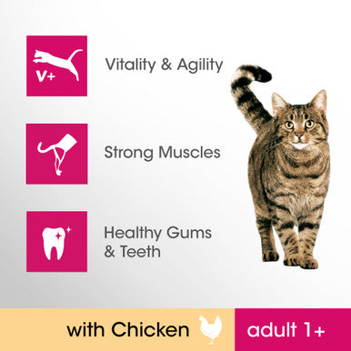 Perfect Fit Adult 1+ Complete Dry Cat Food - Chicken