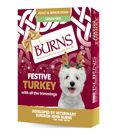 Burns Christmas Gluten-free Adult and Senior Wet Dog Food - Turkey with Carrots & Brown Rice