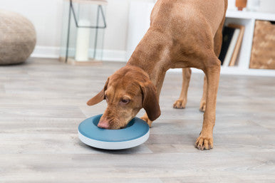 Trixie Rocking Slow Feeding Dog Bowl - Grey/Blue